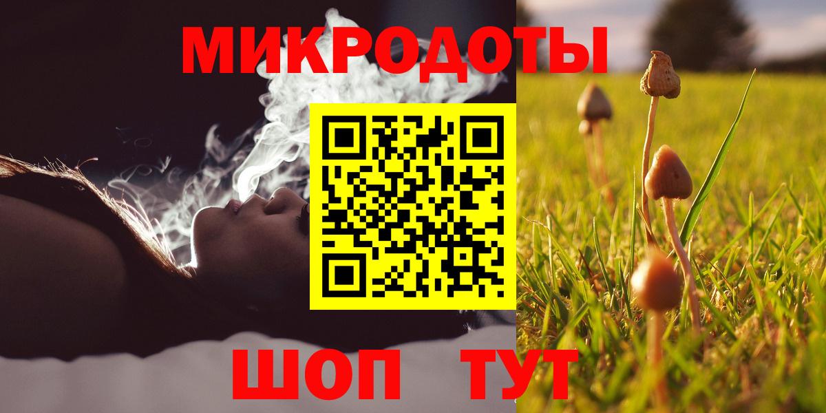 Псилоцибиновые грибы Psilocybine cubensis  Вход с VPN  Братск 