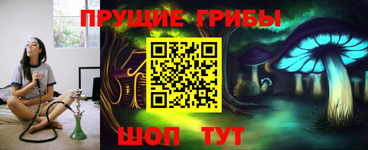Галлюциногенные грибы GOLDEN TEACHER Братск